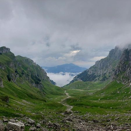 Apartamentul Alb Buşteni Exteriér fotografie