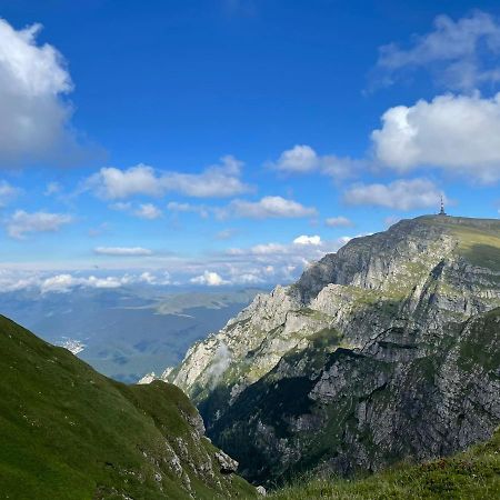 Apartamentul Alb Buşteni Exteriér fotografie