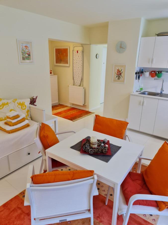 Apartamentul Alb Buşteni Exteriér fotografie