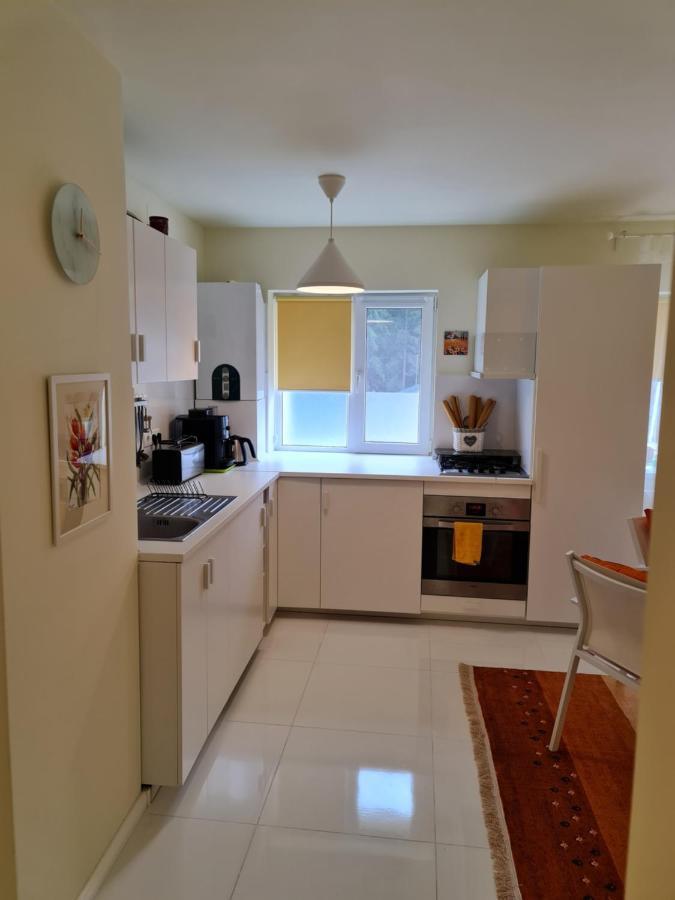 Apartamentul Alb Buşteni Exteriér fotografie