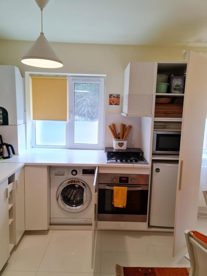 Apartamentul Alb Buşteni Exteriér fotografie