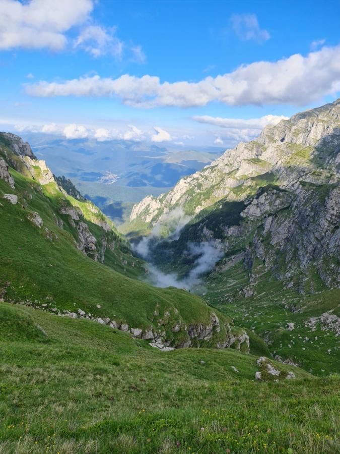 Apartamentul Alb Buşteni Exteriér fotografie