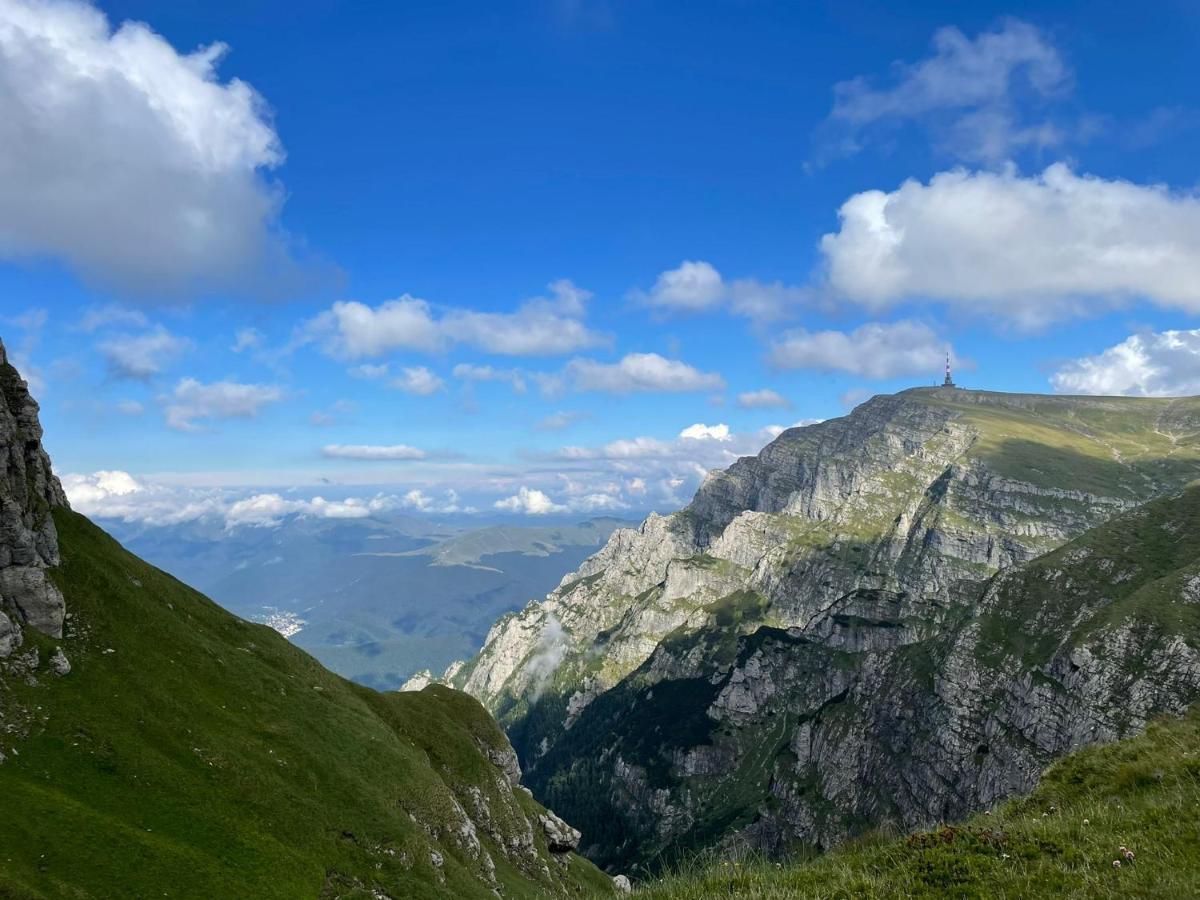 Apartamentul Alb Buşteni Exteriér fotografie