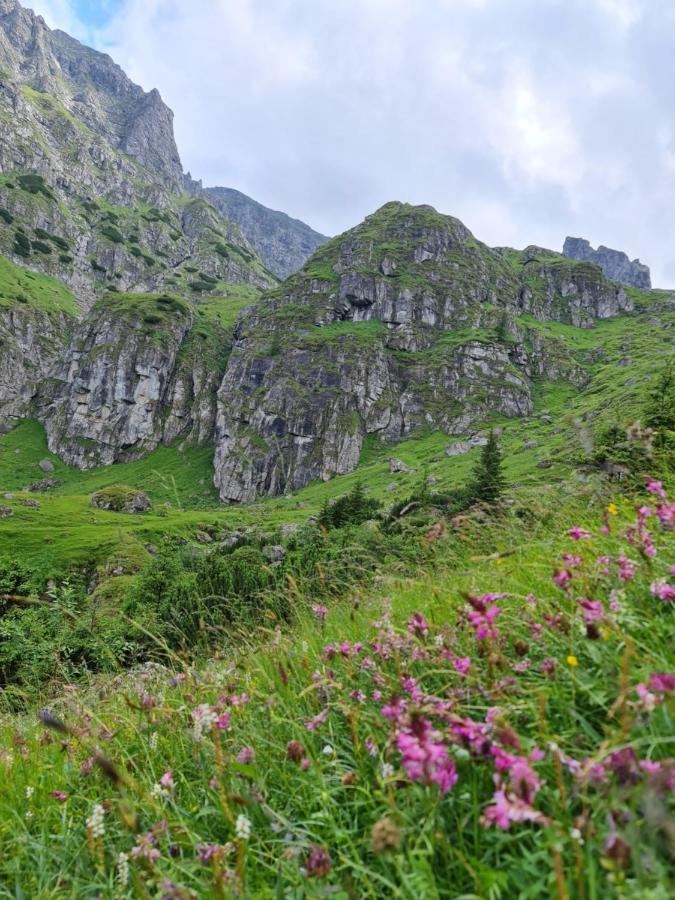 Apartamentul Alb Buşteni Exteriér fotografie