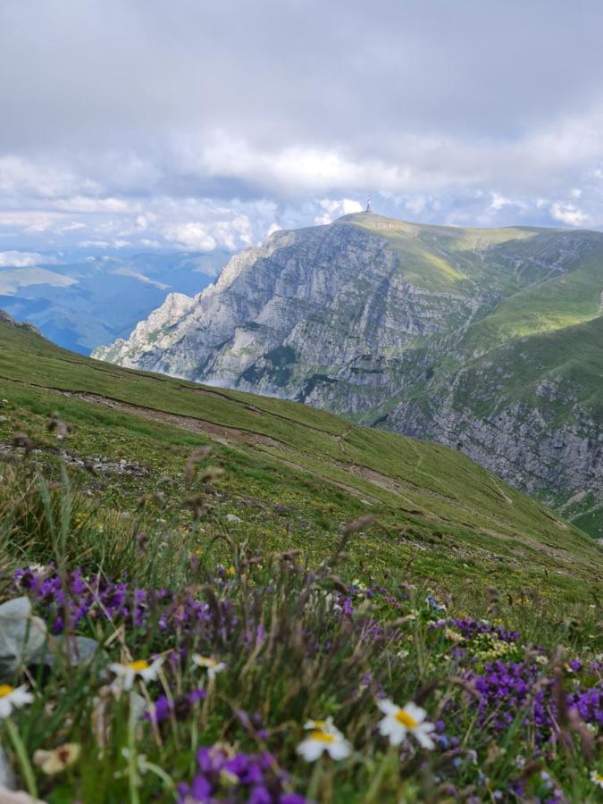 Apartamentul Alb Buşteni Exteriér fotografie