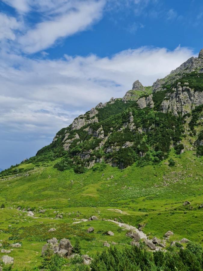 Apartamentul Alb Buşteni Exteriér fotografie